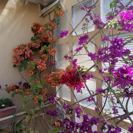 Claudia B&B Ρώμη Εξωτερικό φωτογραφία